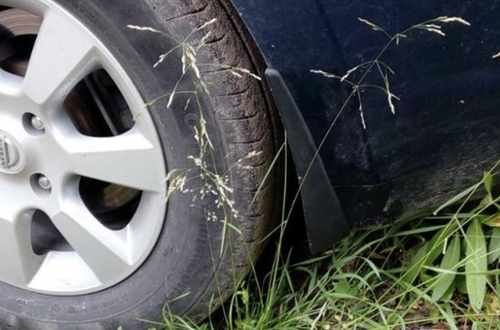 Задні бризковики Nissan Tiida 2006-2013 2шт.