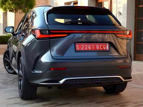Спідниця заднього бампера F-Sport Lexus NX 2022+