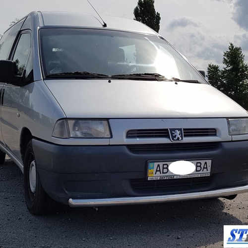Передій захист d60 для Peugeot Expert 1995-2004