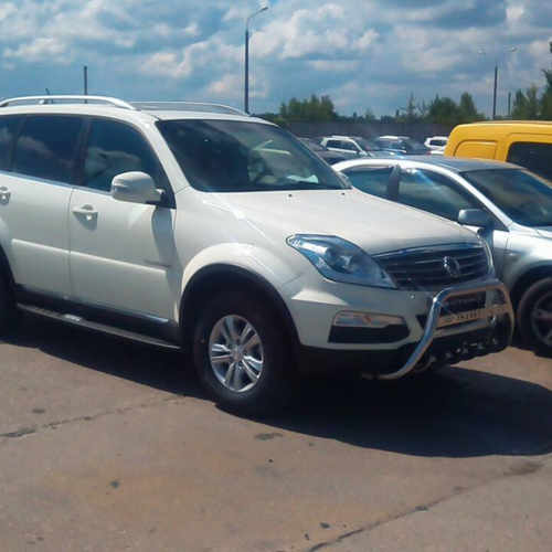 Кенгурятник з написом і грилем D60 для Ssang Yong Rexton 2006-2012 (WT004)