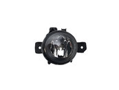 Протитуманна фара LH (галоген) на BMW X5 E70 2007-2010 року