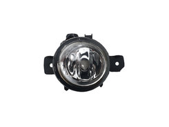 Протитуманна фара LH (галоген) на BMW X5 E70 2007-2010 року