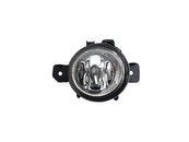 Протитуманна фара RH (галоген) на BMW X5 E70 2007-2010 року