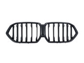 Ноздри Чорний мат (1 Bar) на BMW X6 G06 2019-2022 року