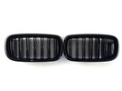 Ніздрі Чорний глянець (Подвійні M-Look) під нічне бачення на BMW X5 F15 2013-2018 року