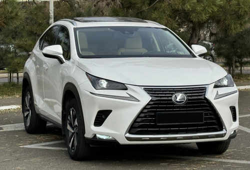 Решітка радіатора Gray (Normal) на Lexus NX 2017-2021 року
