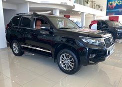 Хромированные молдинги дверей Toyota Land Cruiser Prado 150 2009-2021 в стиле 2018+