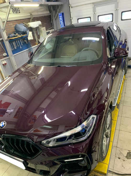 Бічні підніжки (пороги) на BMW X6 G06 2019-2020 рік