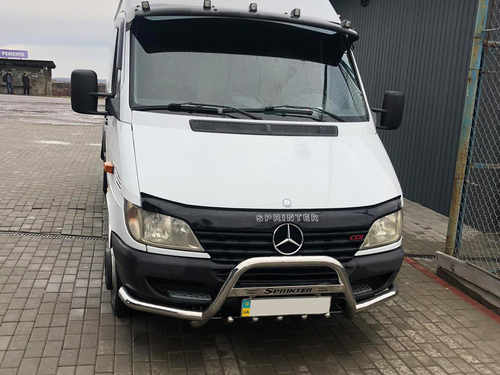 Кенгурятник з вусами (нерж.) для Mercedes Sprinter 1995-2006 рр