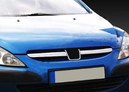 Накладки на решітку (2001-2005, 2 шт, нерж) для Peugeot 307