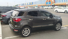 Молдинг дверей (4 шт, нерж) для Ford Ecosport