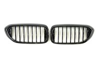 Решетка радиатора ноздри BMW 5 Series G30/G31 2017-2020год Черный Глянец (1-bar)