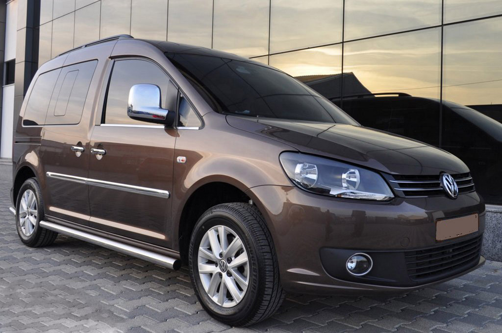 Бічні труби (2 шт., нерж) для SsangYong Action 2006-2024 рр