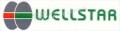 WellStar